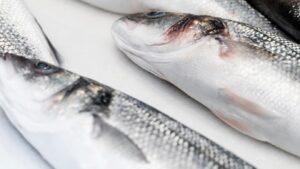 ооо тымлатский рыбокомбинат