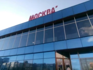 ооо новая волна синема