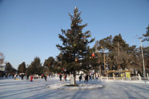 каток хабаровский край 2025-2026