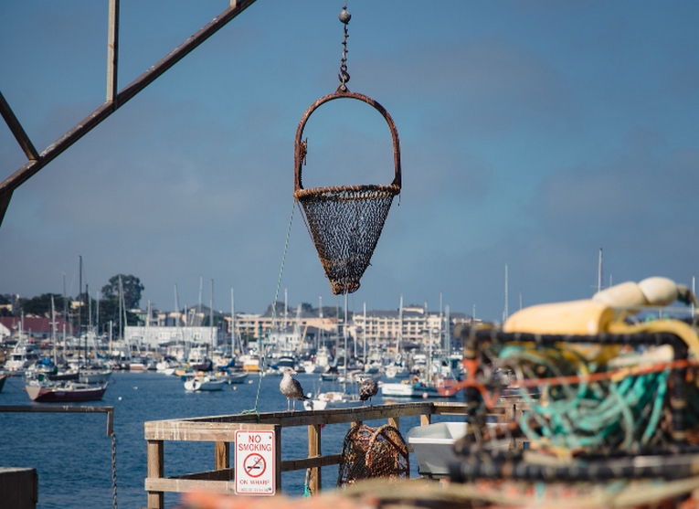 Экс-глава Приморья Дарькин выкупил Владивостокский морской рыбный порт