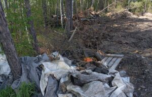 Недропользователь в Хабаровском крае заплатил 2,7 млн рублей за уничтоженный лес и загрязненные почвы