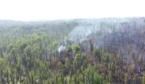Забайкальские пожарные-десантники спасают Сибирь от огня
