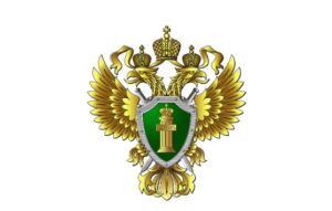 В Приморье нашли виновника загрязнения реки