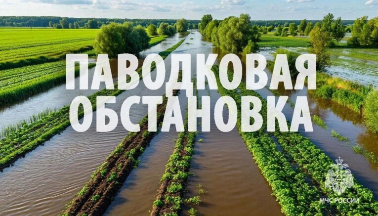 Уровень Амура у Хабаровска понемногу снижается
